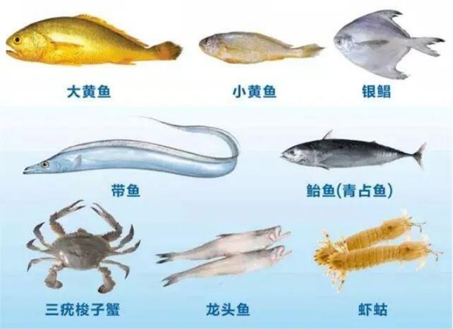 天起全面禁止！将持续4个半月开元棋牌app平湖人注意！今